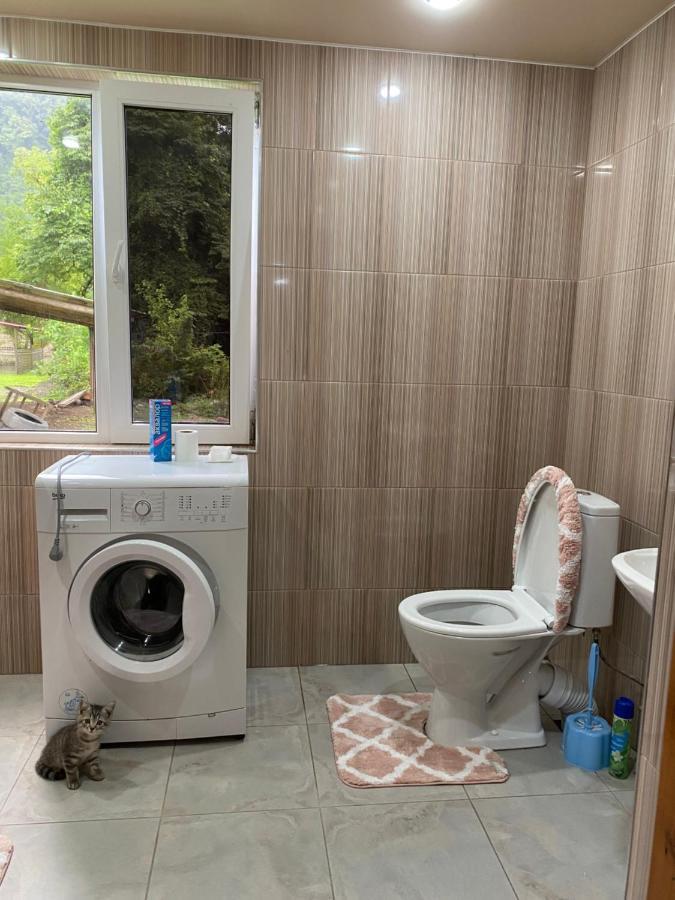 Гостевой Дом На Геджирке Tqvarcheli エクステリア 写真